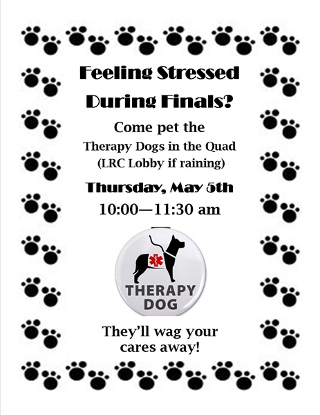 Therapy Dogs on campus May 5th