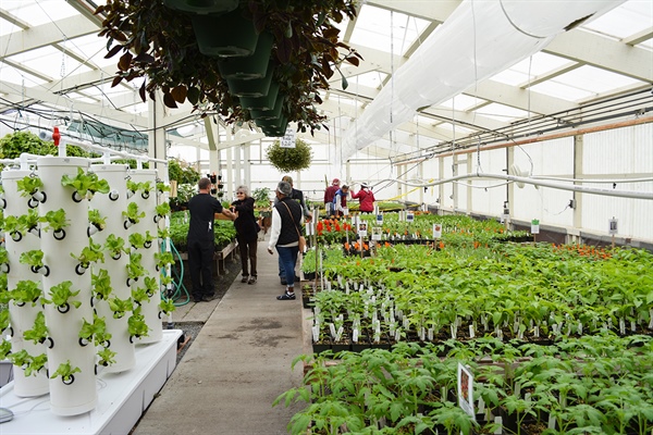 College of the Redwoods Plant Sale a big success
