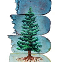 Eric Southard, Recycled Redwood