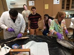 Dissection and Fish Tacos for the Zoology students