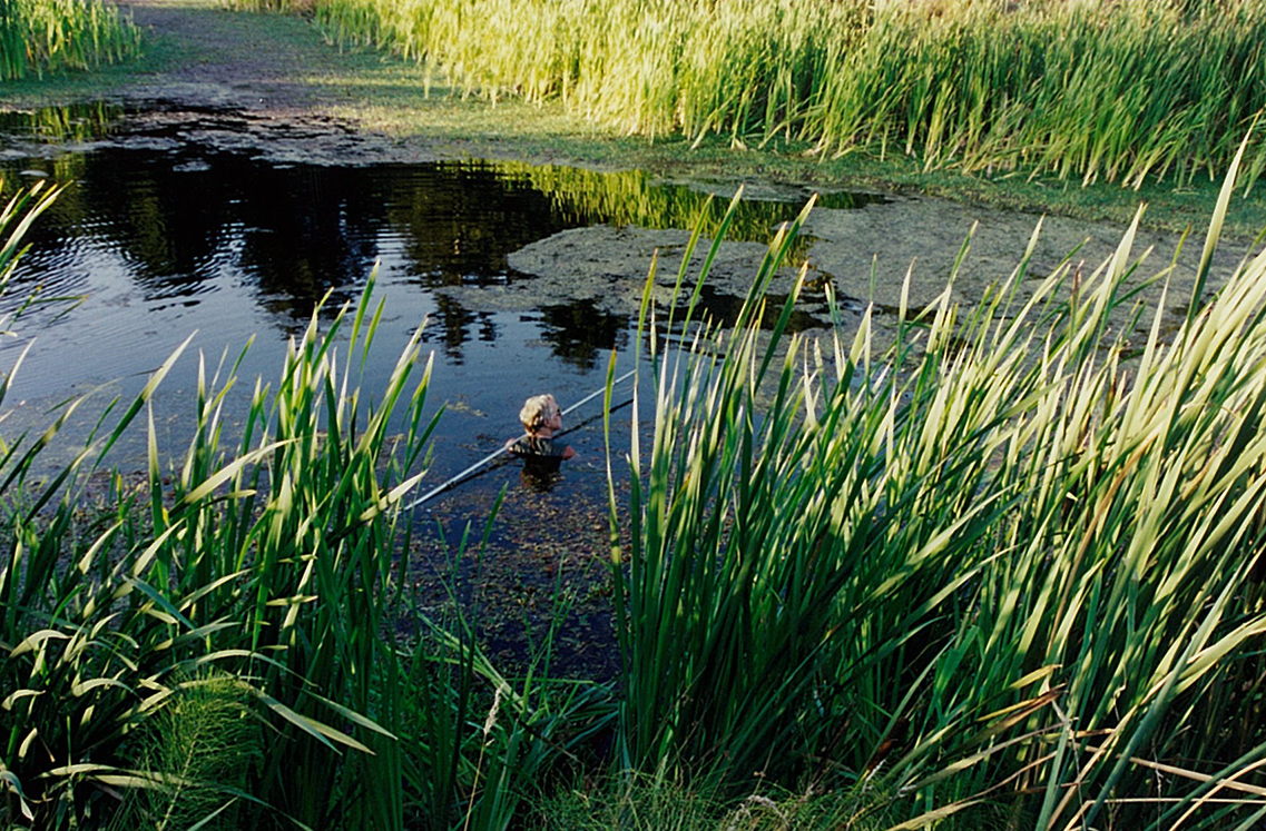Hunting a gator